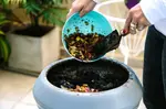 Tips for composting without worms. If you'd prefer composting without worms, that's fine. Here's what to do. The process takes a couple of months because you have to wait for stuff to decay.