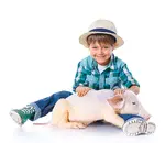 Exotic pets for kids - yes or no? Exotic pets require more attention, more expensive cages or habitats, and specialized vet care. 