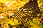 The easy fall cleaning checklist differs slightly from the spring variety; the focus is on dust and cobweb control, and getting your home primed for the holidays.
