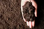 Easy garden soil testing. Soil testing you can do yourself is the great equalizer: Once you know exactly what you're working with, you'll find your gardening success.
