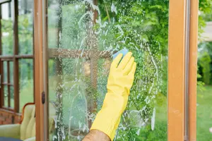 window-clean-tiny
