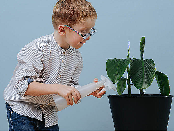 chores-houseplant-20