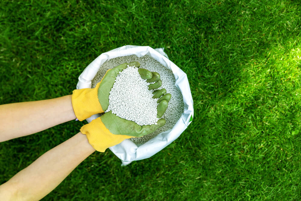 fertilize-lawn