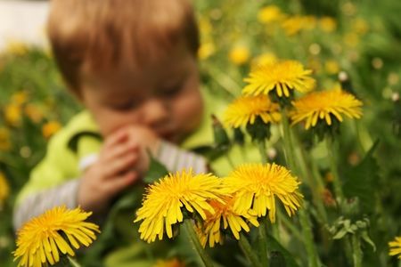 gardening-games-dandelions