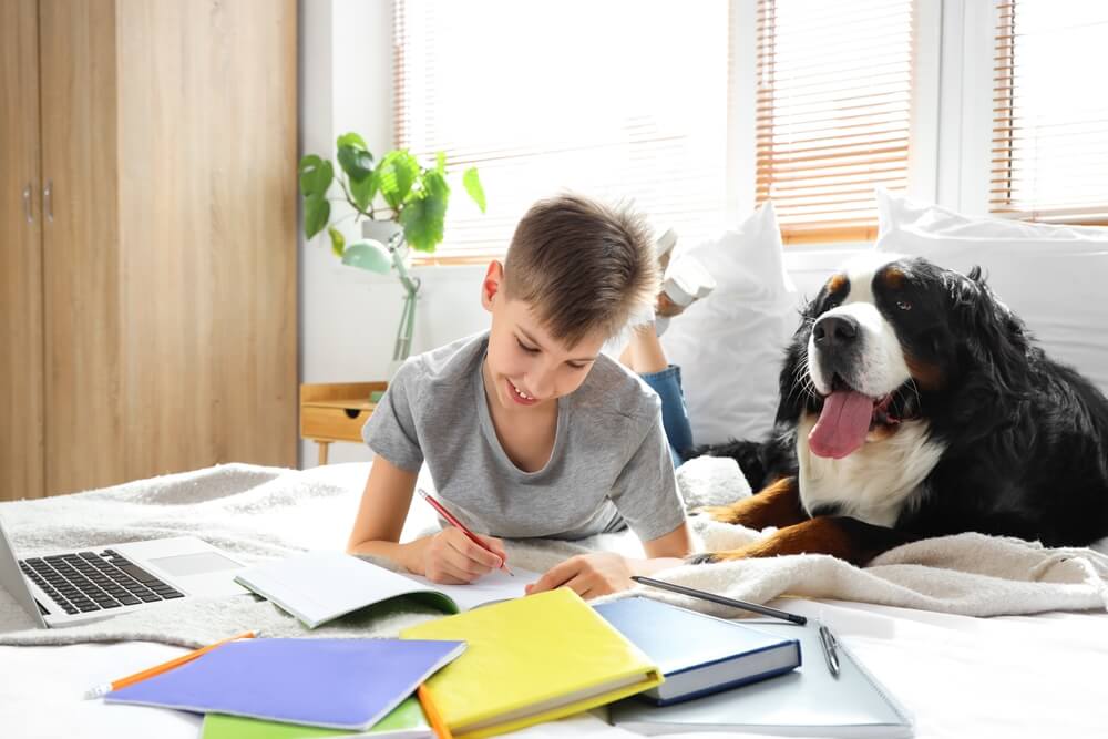Boy with family dog doing homework in bedroom.