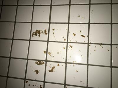 How Clean Adhesives from Tile Floors