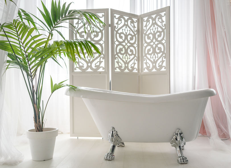 Indoor tree in white pot in white bathroom.