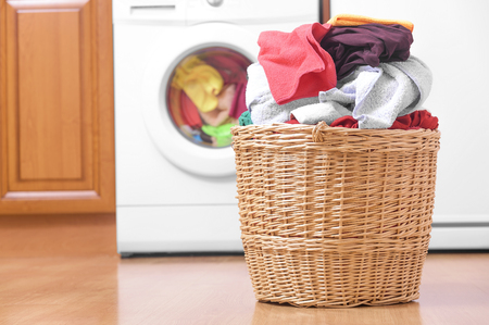 Clean the laundry room thoroughly.