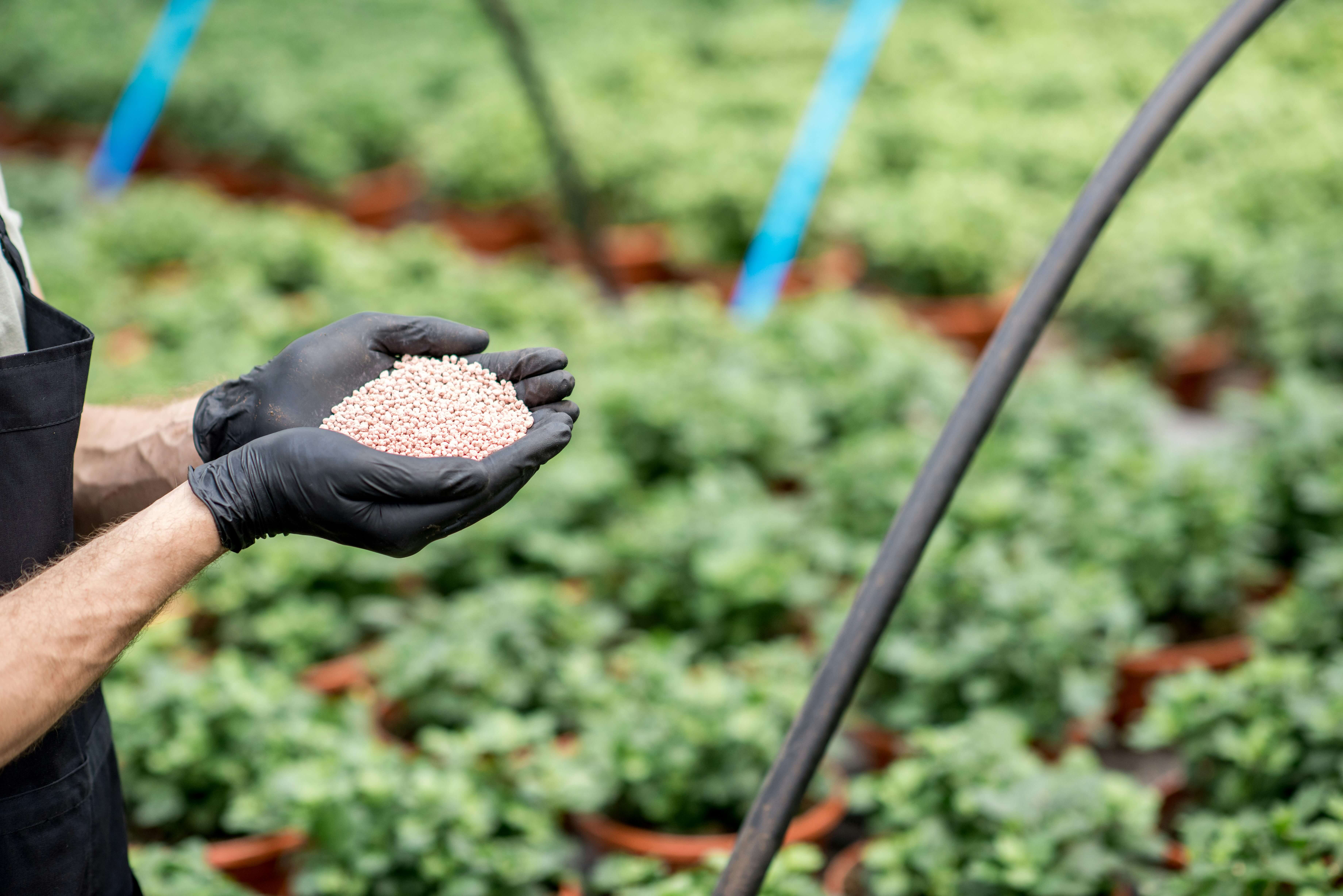A woman is fertilizing a backyard.