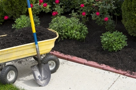 Wagon with soil and spade in garden.