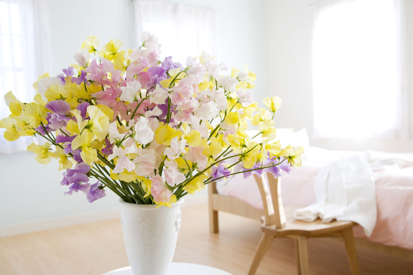 overnight-guests-flowers-19
