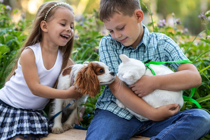 Girl with pet dog and boy with cat.