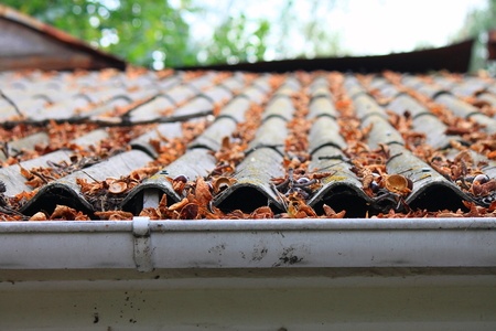 Roof and gutter covered in fall leaves.