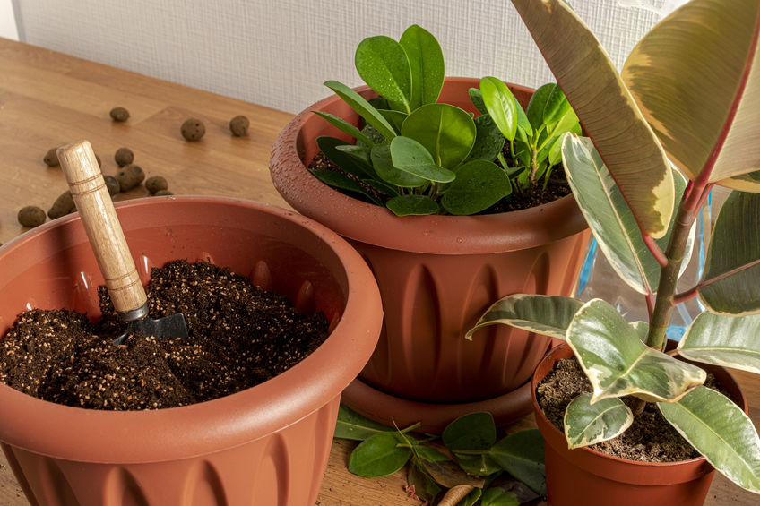 Pots and spade on table.